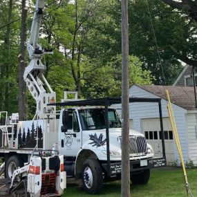 Phil’s Tree Service Seacoast