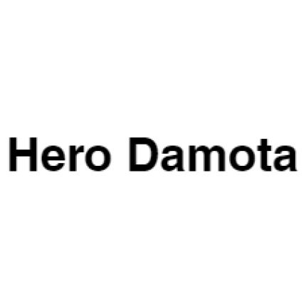 Λογότυπο από Hero Damota