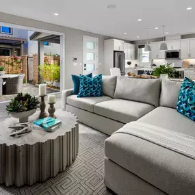 Indoor/outdoor living