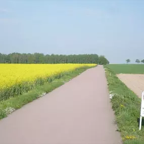 Bild von Flaeming Camping - Der Campingplatz im Flaeming