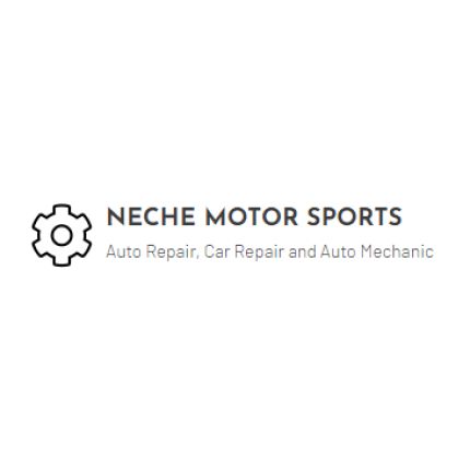 Logo fra Neche Motor Sports
