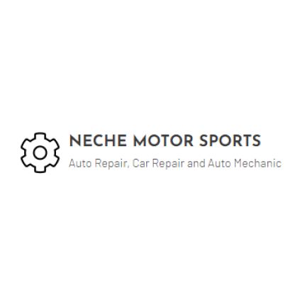 Logo from Neche Motor Sports