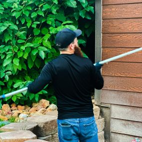 Pigeon & bird Control Mesa Az