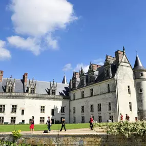 Bild von VVF Amboise Les Châteaux de la Loire