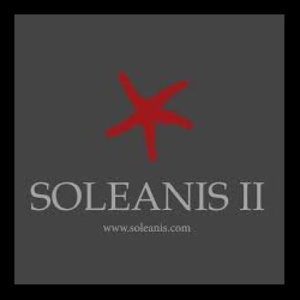 Logótipo de Soleanis II Dream Cat Lab