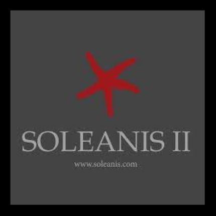 Logotyp från Soleanis II Dream Cat Lab