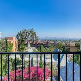 Rooftop View