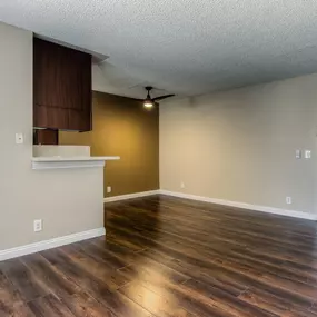 Living Room and Kitchen Layout