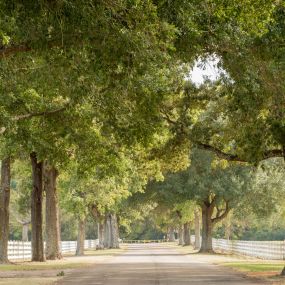 Enjoy the beauty and peace of God’s creation, right in the heart of East Texas.