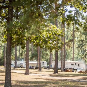 Our campground is nestled in a peaceful and tranquil area of East Texas. Sites are roomy with plenty of shade trees.