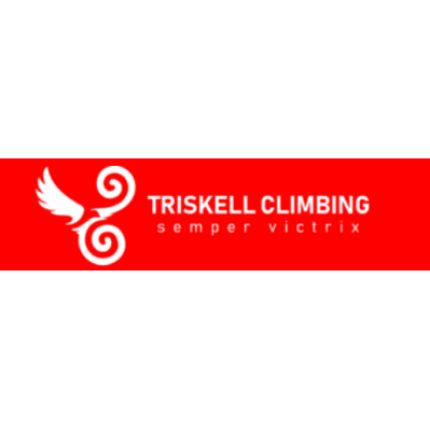 Logo van Triskell Climbing