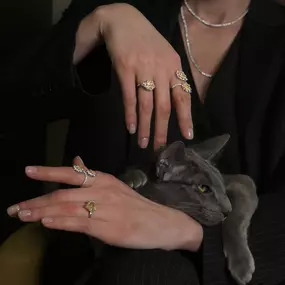 Bild von Paolo Bartorelli Gioielli - Rivenditore Autorizzato Rolex & Cartier