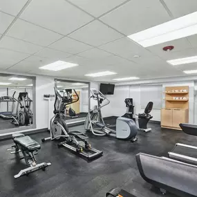 Health club  fitness center  gym