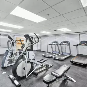 Health club  fitness center  gym