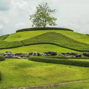 Bild von Garten- und Landschaftsbau Thomas Nowak