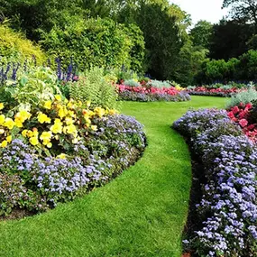 Bild von Garten- und Landschaftsbau Thomas Nowak