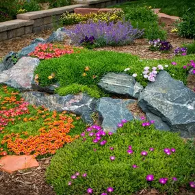 Bild von Colorado Deck & Landscape