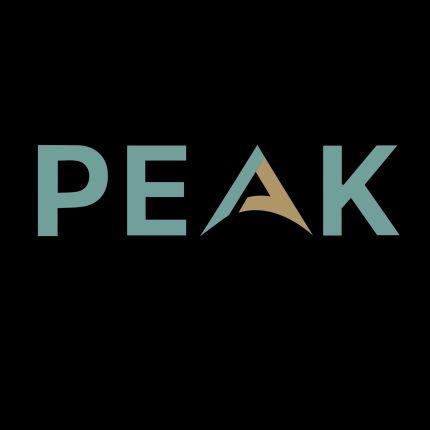 Logo de Peak Chiropractic - Upper Cervical Care in Boise
