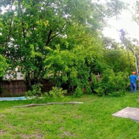 Bild von Ford Tree Service/ Texas Tree Trimming and Stump Grinding