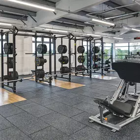 Free Weight Area