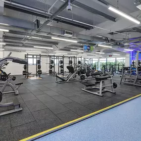 Free Weight Area
