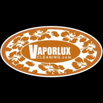 Logo fra Vaporlux Cleaning Systems