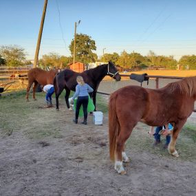 Bild von Three Brothers Stable