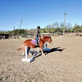 Bild von Three Brothers Stable