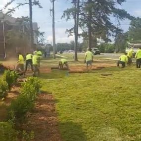 Mint Landscaping offers a wide range of lawn care services in North Carolina to keep your yard looking its best.