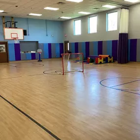 Gymnasium/Play Area