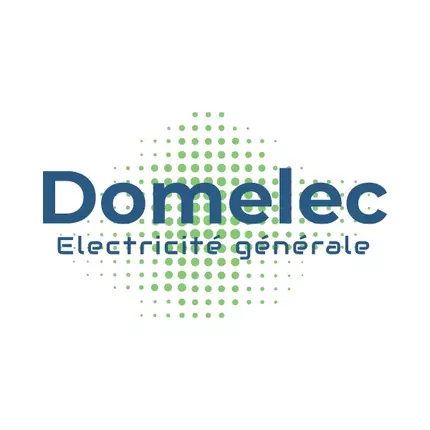 Logotyp från Ei Domelec