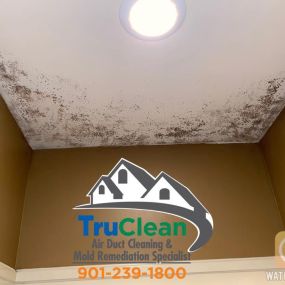 Bild von TruClean, Inc.- Air Duct Cleaning & Mold Remediation Specialist