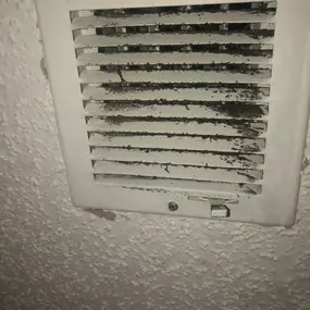 Mold Inspection