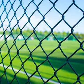 Black Vinyl coated Chain Link fence.