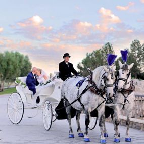 Bild von Dream Catchers Carriages