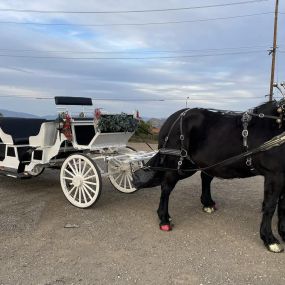 Bild von Dream Catchers Carriages