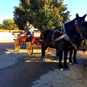 Bild von Dream Catchers Carriages