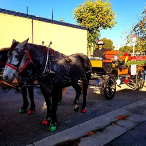 Bild von Dream Catchers Carriages