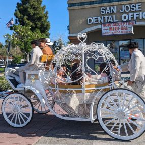 Bild von Dream Catchers Carriages