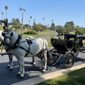 Bild von Dream Catchers Carriages