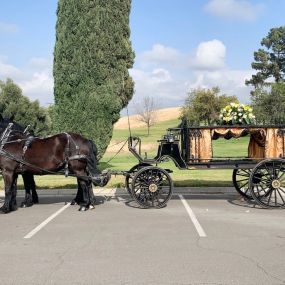 Bild von Dream Catchers Carriages