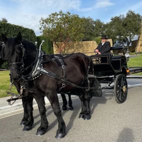 Bild von Dream Catchers Carriages