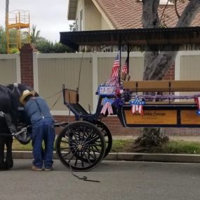 Bild von Dream Catchers Carriages