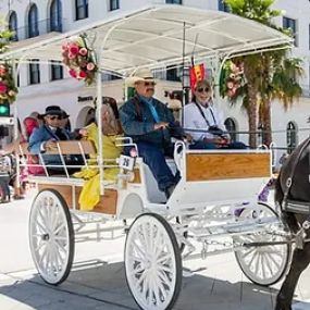 Bild von Dream Catchers Carriages