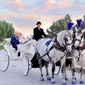 Bild von Dream Catchers Carriages