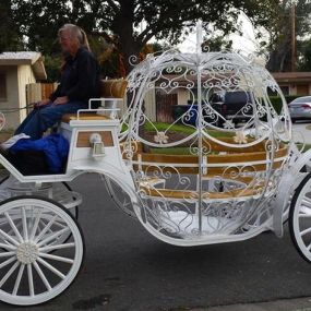 Bild von Dream Catchers Carriages