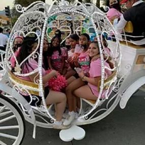 Bild von Dream Catchers Carriages