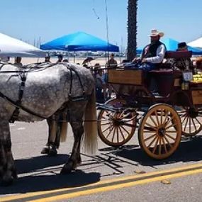 Bild von Dream Catchers Carriages