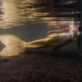 Underwater photography in Southern Oregon