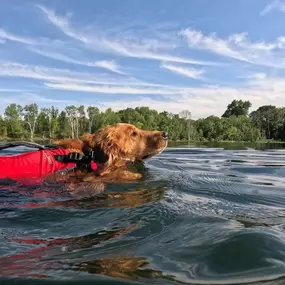 — at Shady Oak Lake.